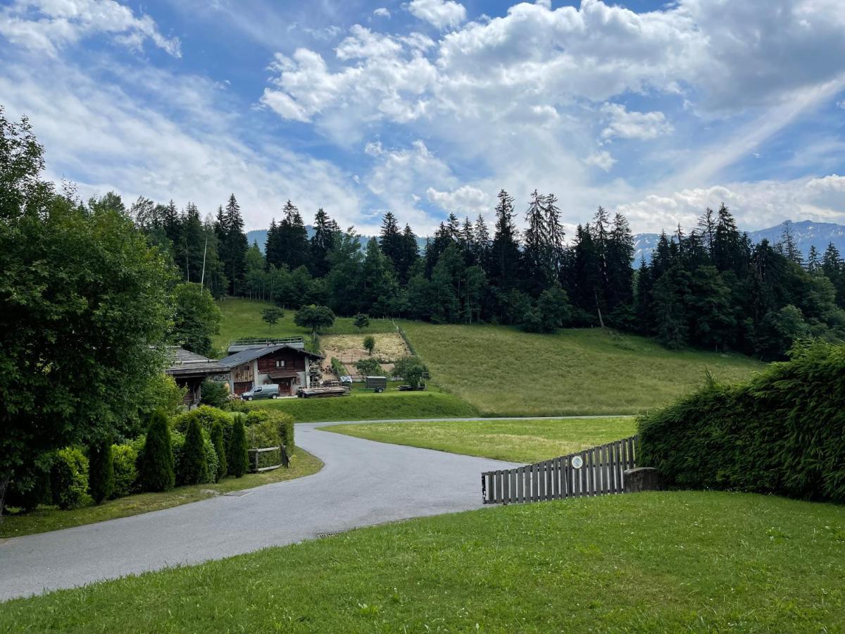 Marmotte Du Jaillet Entre Et Megève *