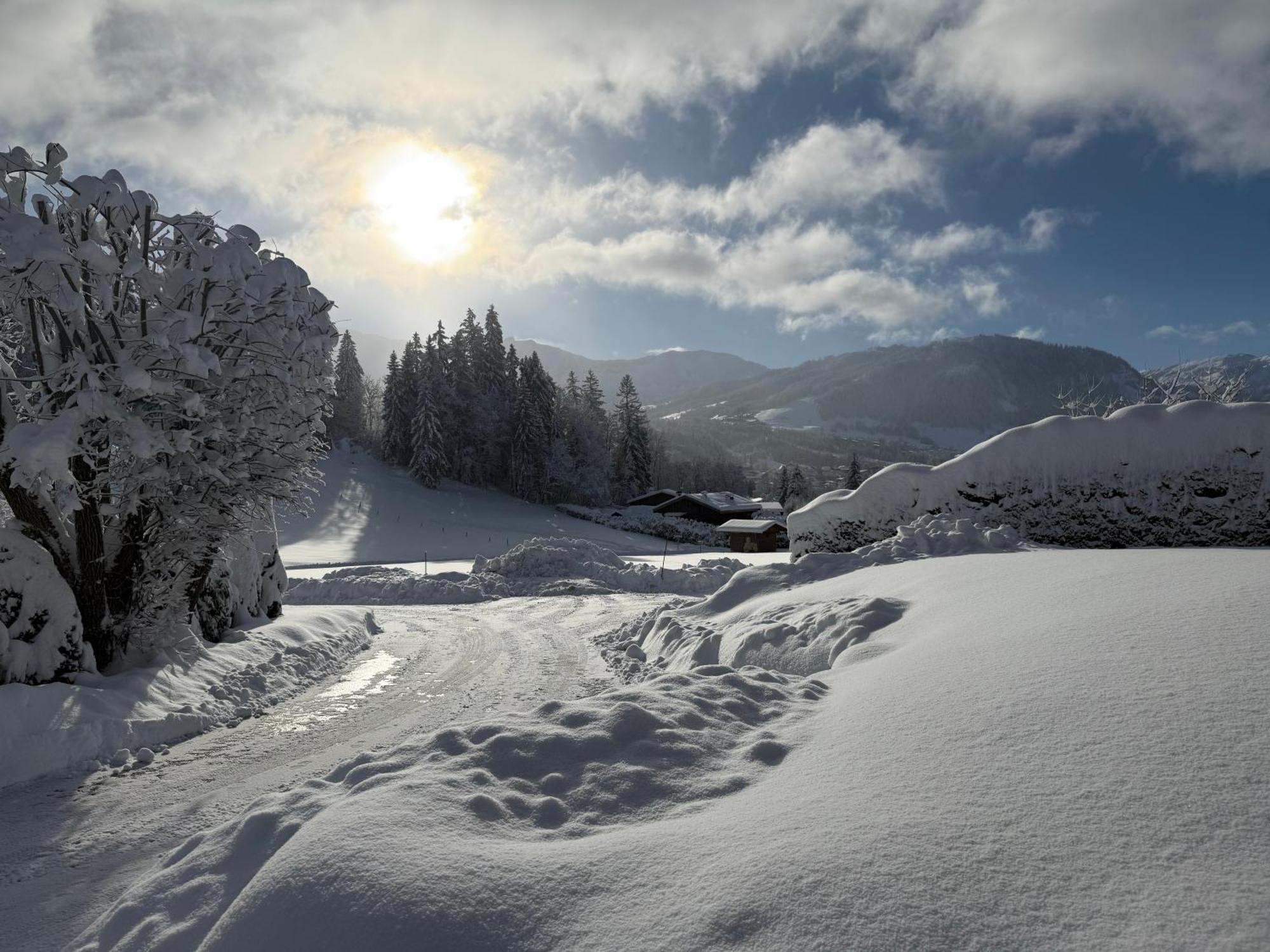 Marmotte Du Jaillet Cosy And Apartment